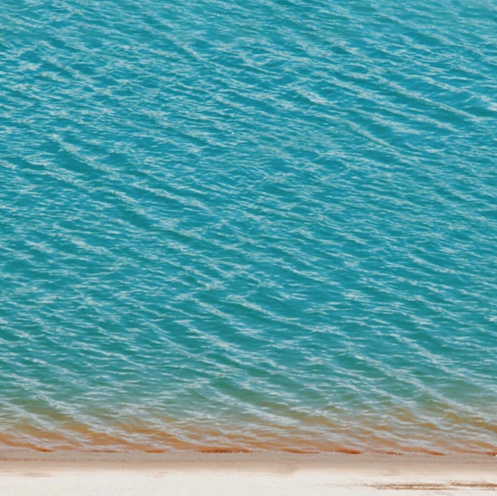 Meet your Posher, Ernestine